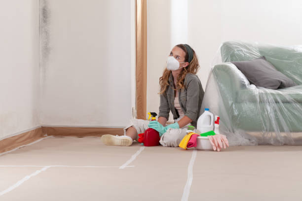 Reliable Basement Mold Remediation contractor in Universal City, TX by 24 Hour Mold Removal